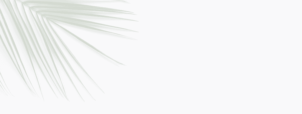 palm laeves backround 1